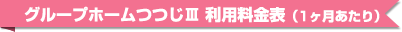グループホームつつじⅢ　利用料金表（30日）