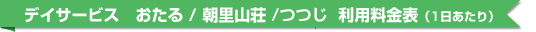 デイサービス　おたる/朝里山荘　利用料金表（1日）